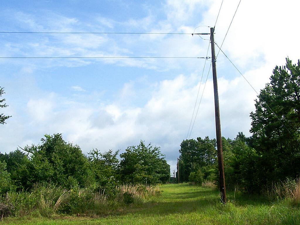 10 Ac Morgan Road, Bedias, TX 77831