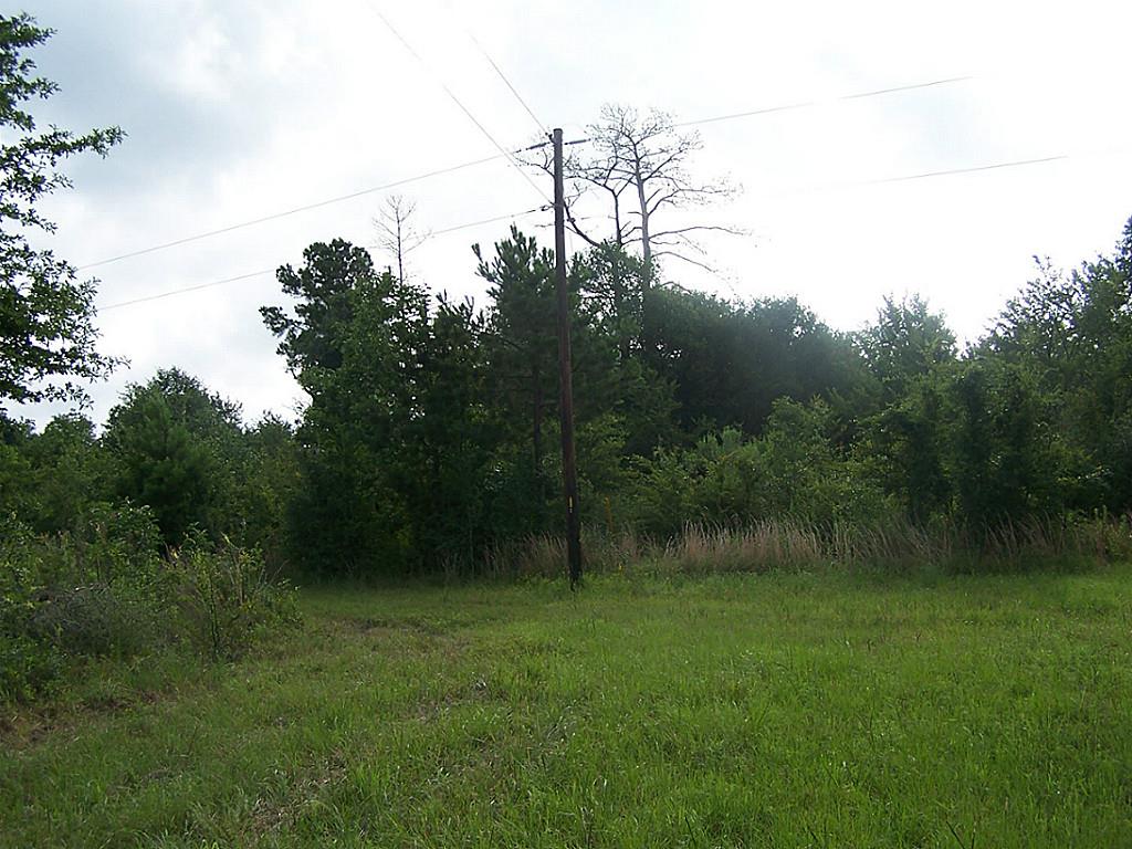 10 Ac Morgan Road, Bedias, TX 77831