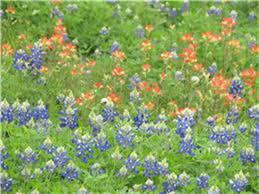 0 Cedar Creek Road, Caldwell, TX 77836