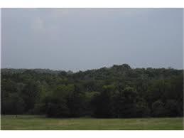 0 Cedar Creek Road, Caldwell, TX 77836