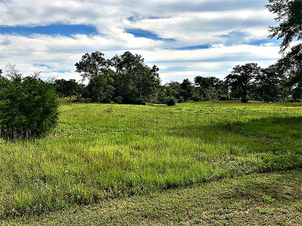 10222 Wessex Bnd, Iola, TX 77861