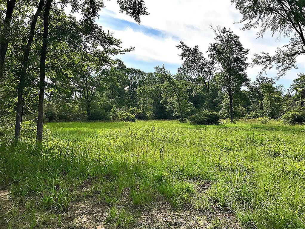 10222 Wessex Bnd, Iola, TX 77861