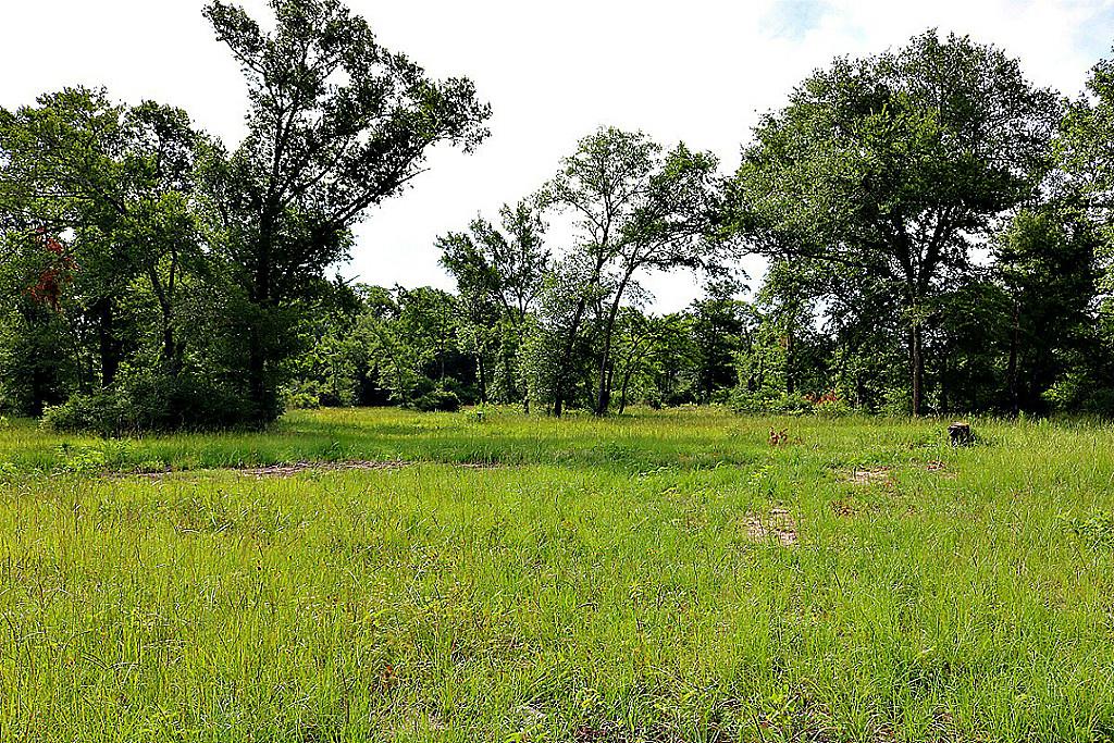 10222 Wessex Bnd, Iola, TX 77861