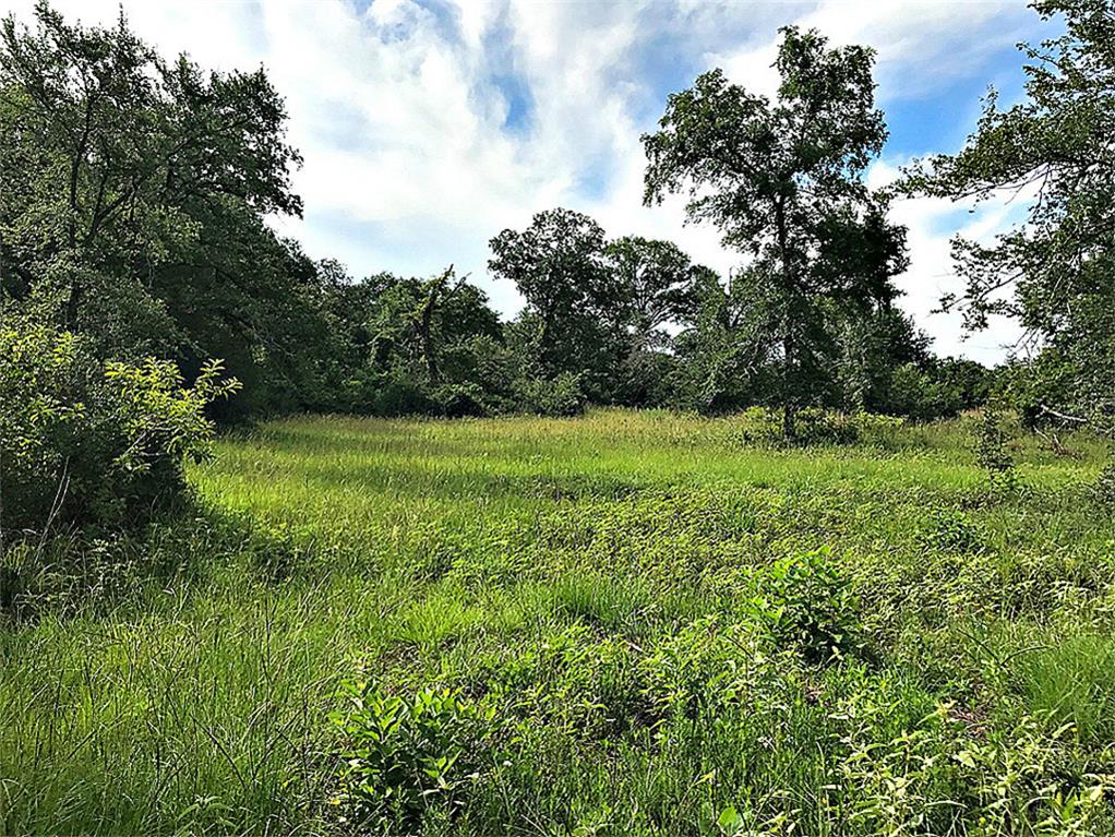 10222 Wessex Bnd, Iola, TX 77861
