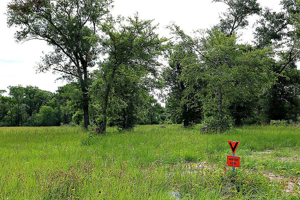 10222 Wessex Bnd, Iola, TX 77861