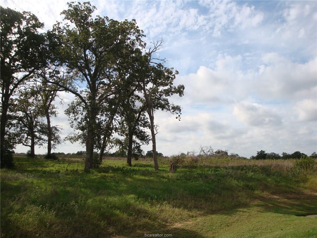 9604 BISHOP BEND - KING OAKS-IOLA, TX, Iola, TX 77861