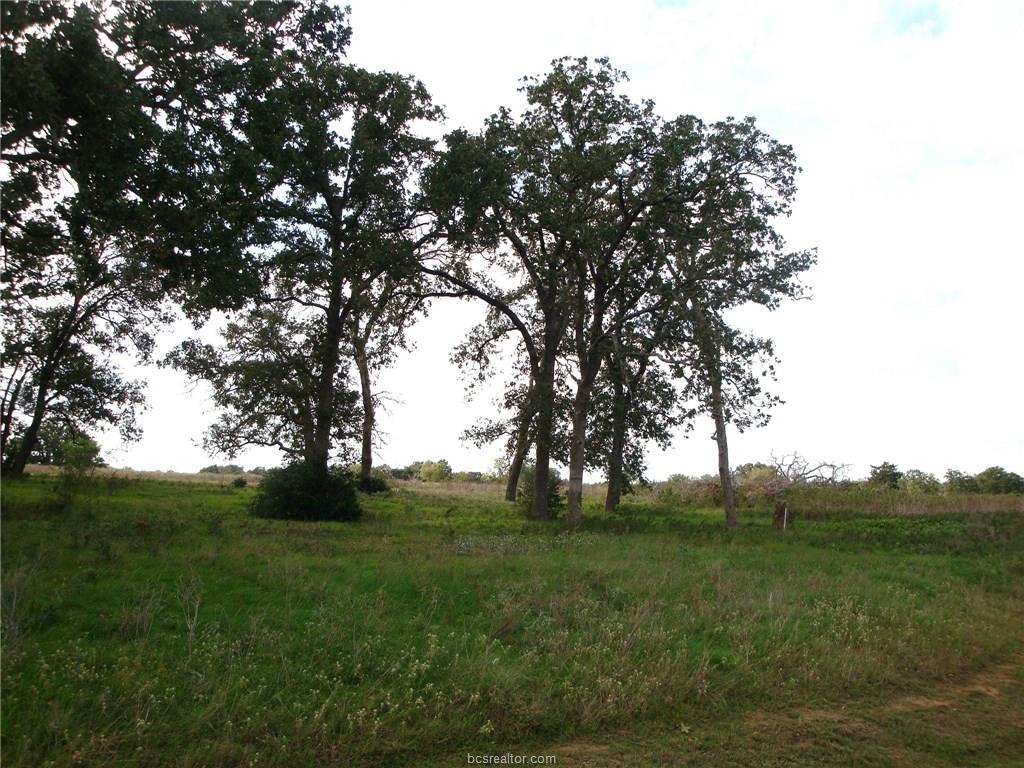 9604 BISHOP BEND - KING OAKS-IOLA, TX, Iola, TX 77861