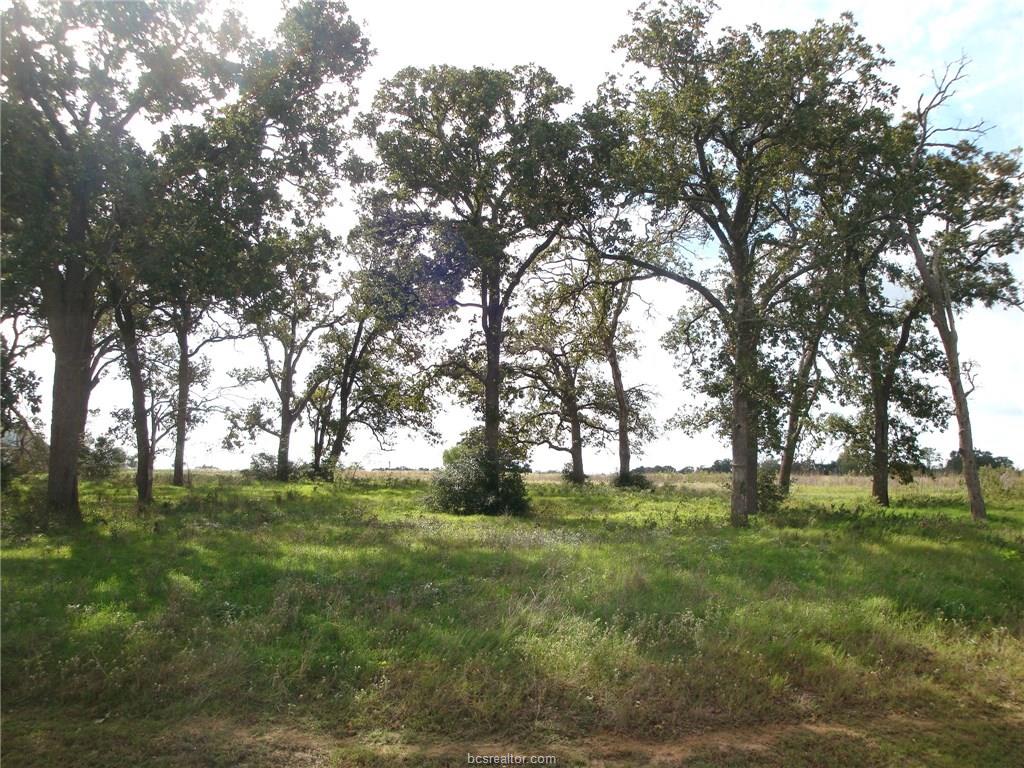 9604 BISHOP BEND - KING OAKS-IOLA, TX, Iola, TX 77861