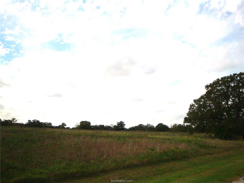 9604 BISHOP BEND - KING OAKS-IOLA, TX, Iola, TX 77861
