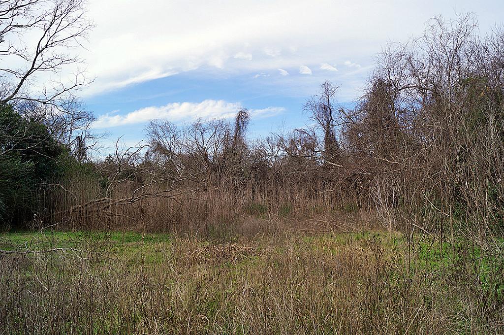 405 N 3rd Street, Navasota, TX 77868