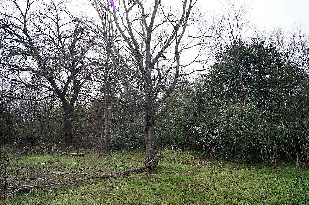 405 N 3rd Street, Navasota, TX 77868