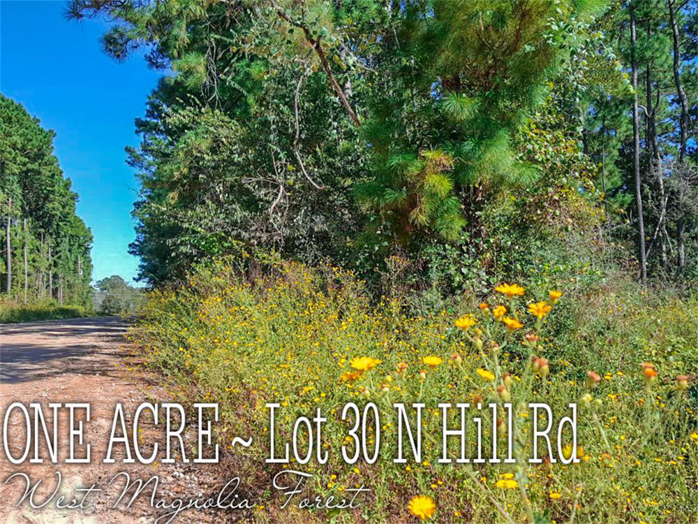 Lot 30 N Hill Road, Navasota, TX 77868