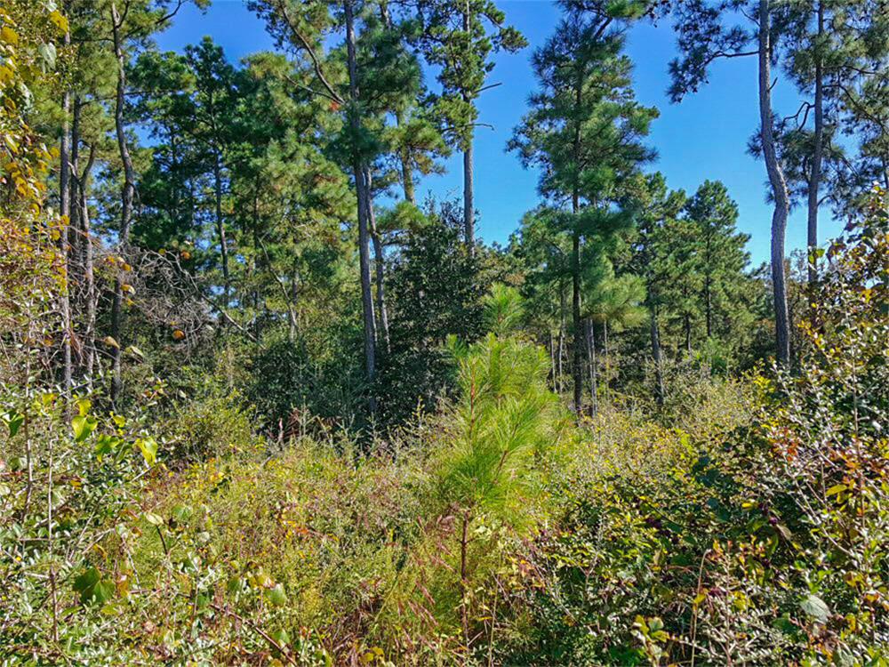 Lot 30 N Hill Road, Navasota, TX 77868