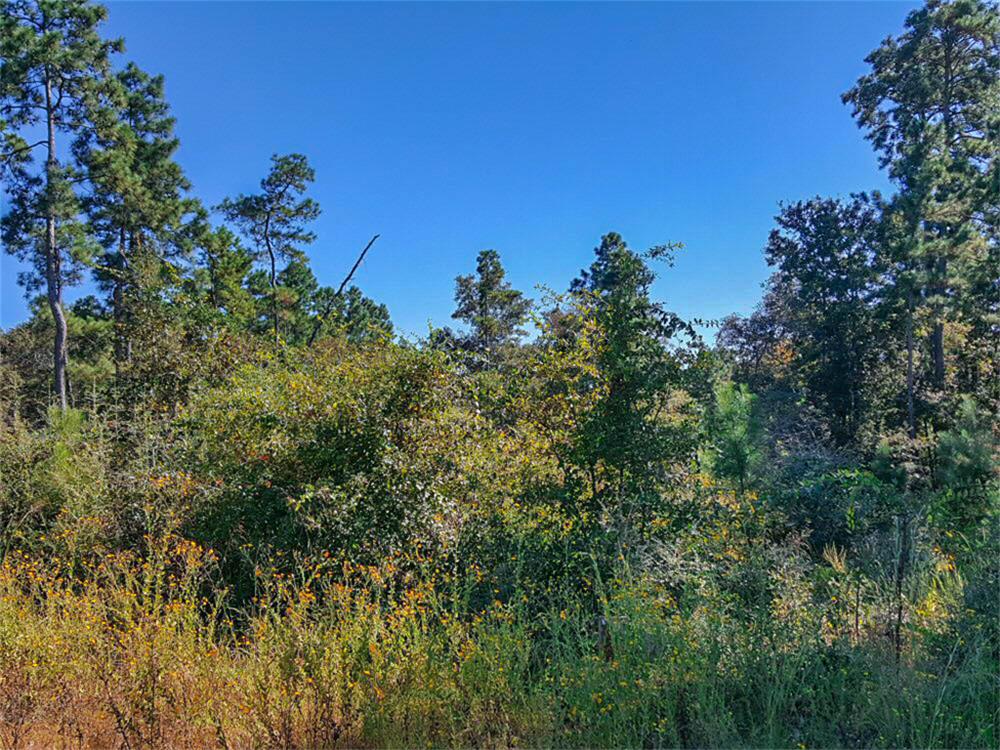 Lot 30 N Hill Road, Navasota, TX 77868