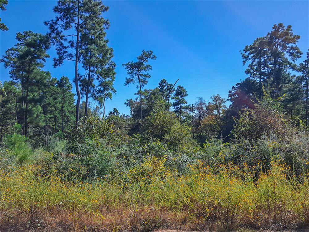 Lot 30 N Hill Road, Navasota, TX 77868