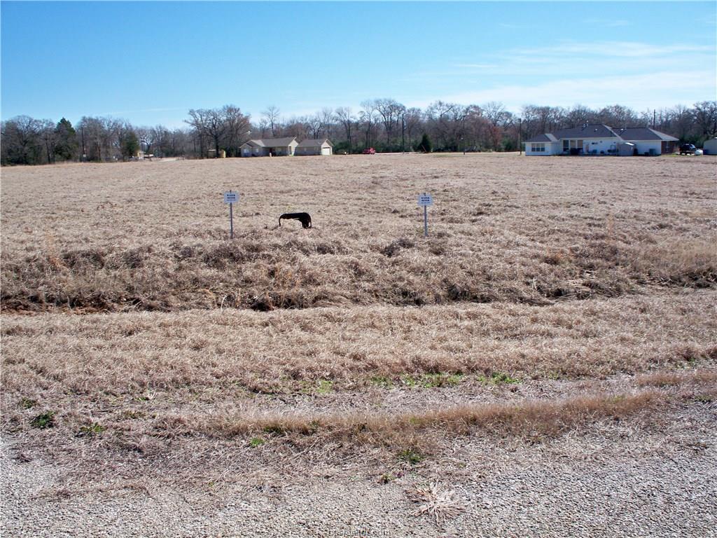 4560 QUIET WATERS, North Zulch, TX 77872