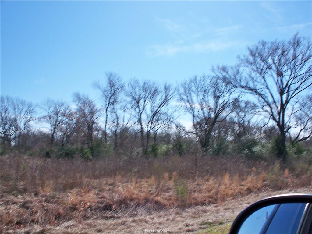 4560 QUIET WATERS, North Zulch, TX 77872