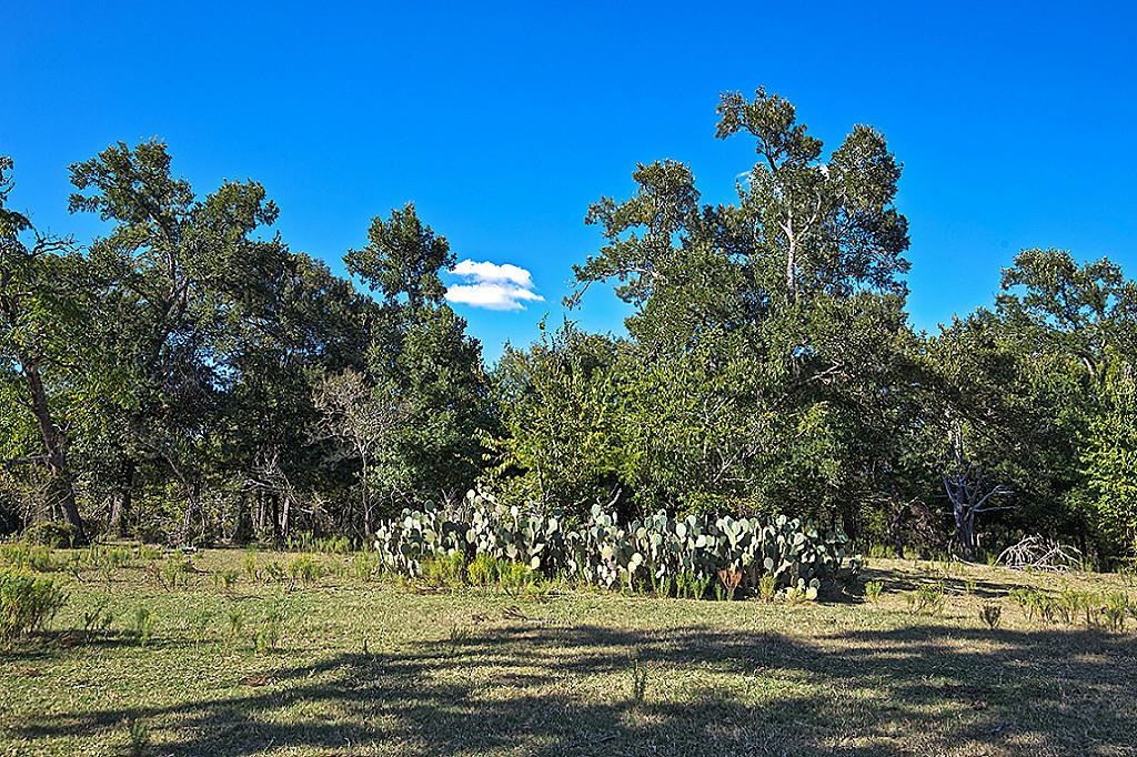 000 Krueger, Washington, TX 77880