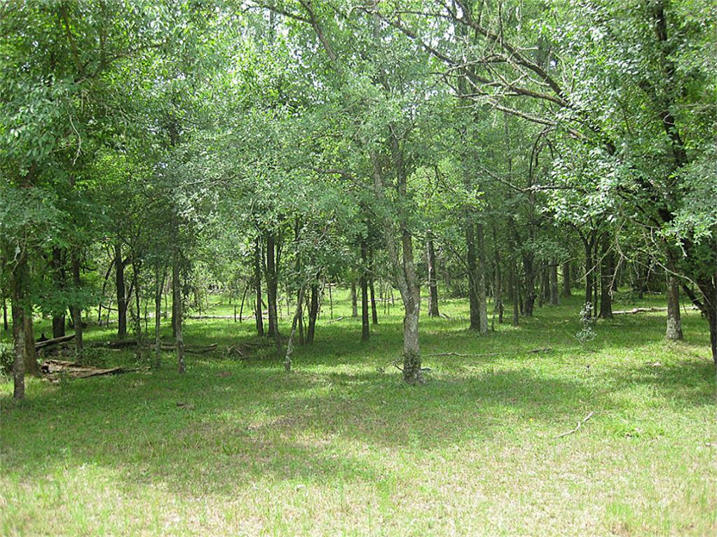 000 Krueger, Washington, TX 77880