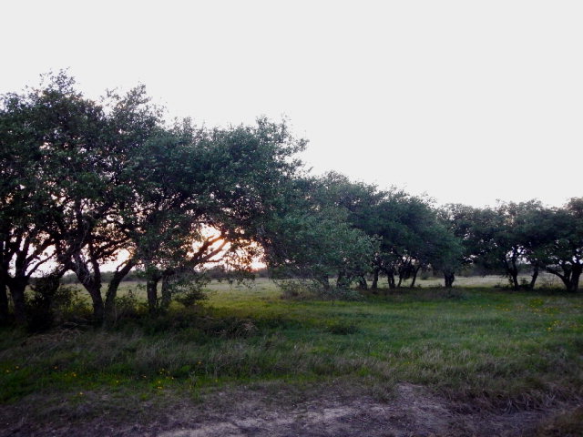 20 Essence Drive, Victoria, TX 77905