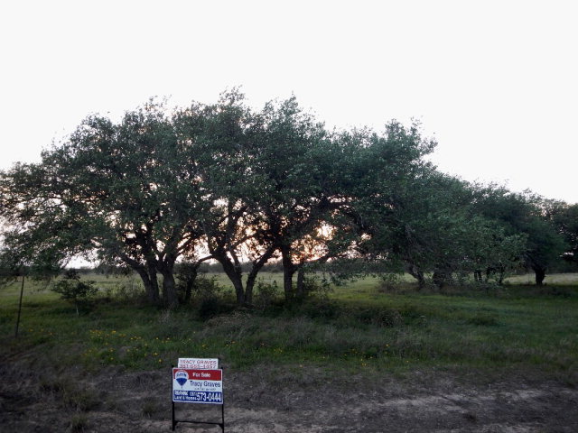 20 Essence Drive, Victoria, TX 77905