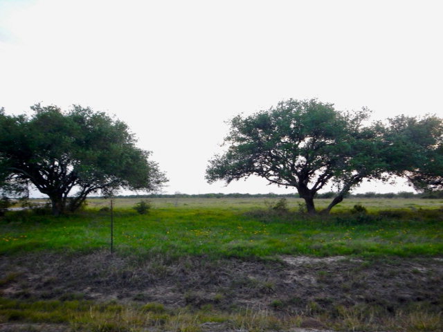 20 Essence Drive, Victoria, TX 77905