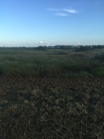 00 Tap Road, Port Lavaca, TX 77979