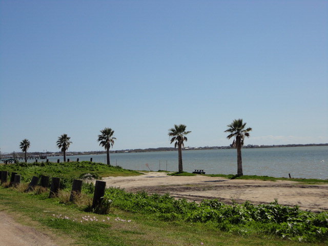 Lots 2,3 16th & Dallas, Seadrift, TX 77983