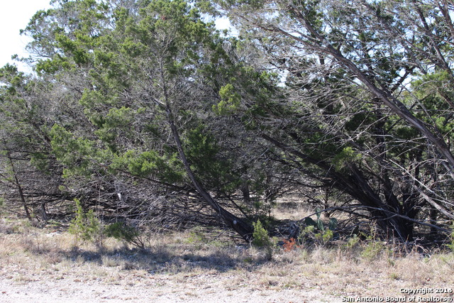 LOT 29 RIVER VIEW DR, Bandera, TX 78003