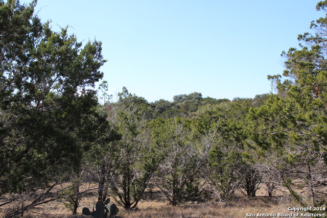 LOT 29 RIVER VIEW DR, Bandera, TX 78003