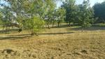 314 COUNTY ROAD 574 ,TX, Castroville, 78009