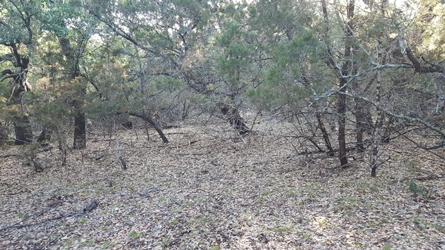 160 Fallow Run, Hunt, TX 78024