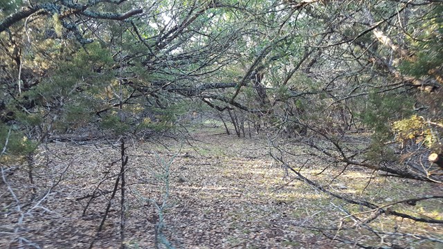160 Fallow Run, Hunt, TX 78024