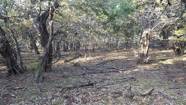160 Fallow Run, Hunt, TX 78024