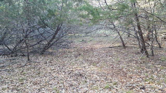 160 Fallow Run, Hunt, TX 78024