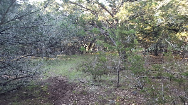 160 Fallow Run, Hunt, TX 78024