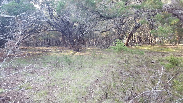 160 Fallow Run, Hunt, TX 78024