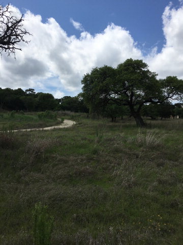 142 Box Canyon Rd, Kerrville, TX 78028
