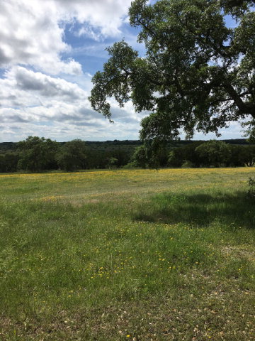 200 Horizon Blvd, Kerrville, TX 78028