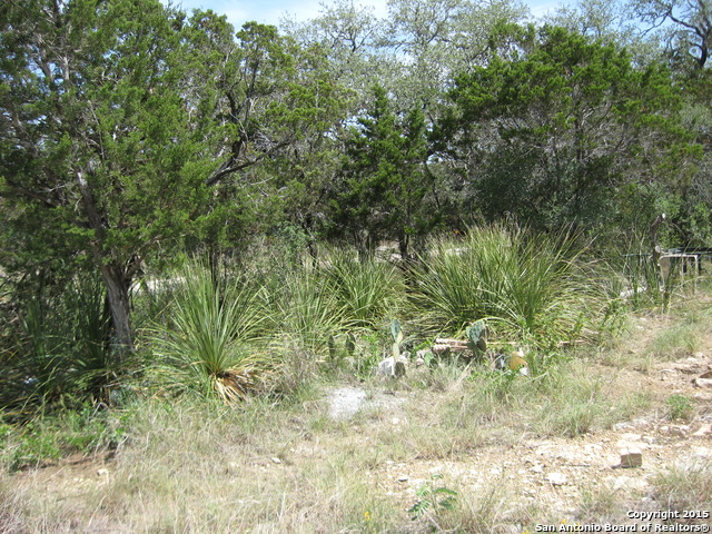 LOT 14 CR 270, Mico, TX 78056