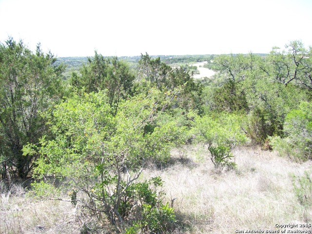 LOT 14 CR 270, Mico, TX 78056