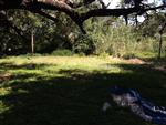 456 DAWNRIDGE DR