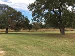 1310 RIVER OAKS DRIVE ,TX, Poteet, 78065