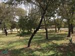 474 CRESTWAY ,TX, Somerset, 78069