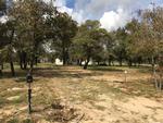 474 CRESTWAY ,TX, Somerset, 78069