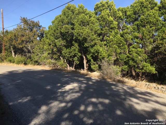 LOT 19 Rosewood Dr, Spring Branch, TX 78070