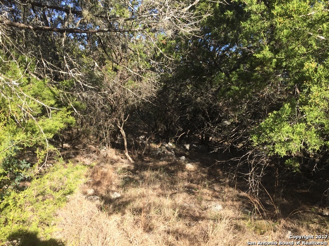 LOT 19 Rosewood Dr, Spring Branch, TX 78070
