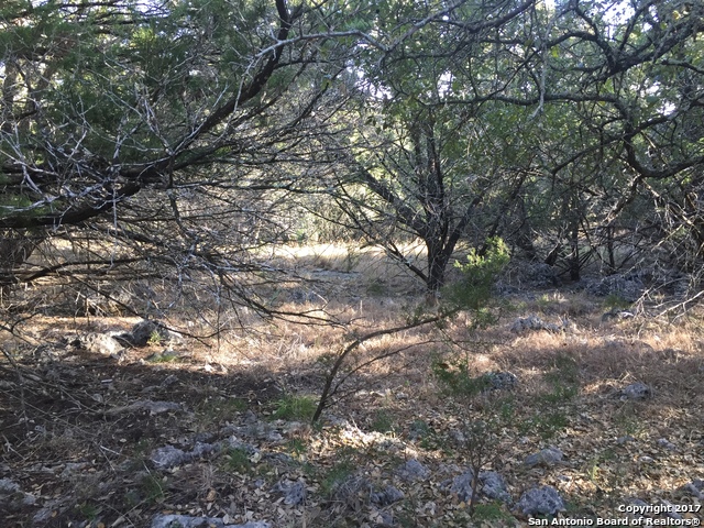 LOT 19 Rosewood Dr, Spring Branch, TX 78070