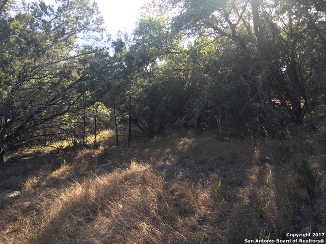 LOT 19 Rosewood Dr, Spring Branch, TX 78070