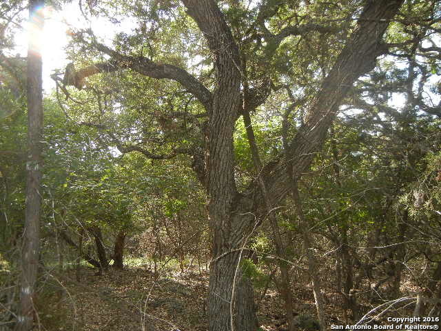 LOT 17 GUADALUPE DR, Spring Branch, TX 78070